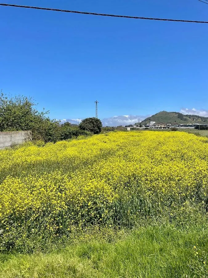Semesterbostad La Macadamia Villa La Laguna  Spanien